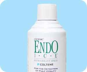 EndoIce
